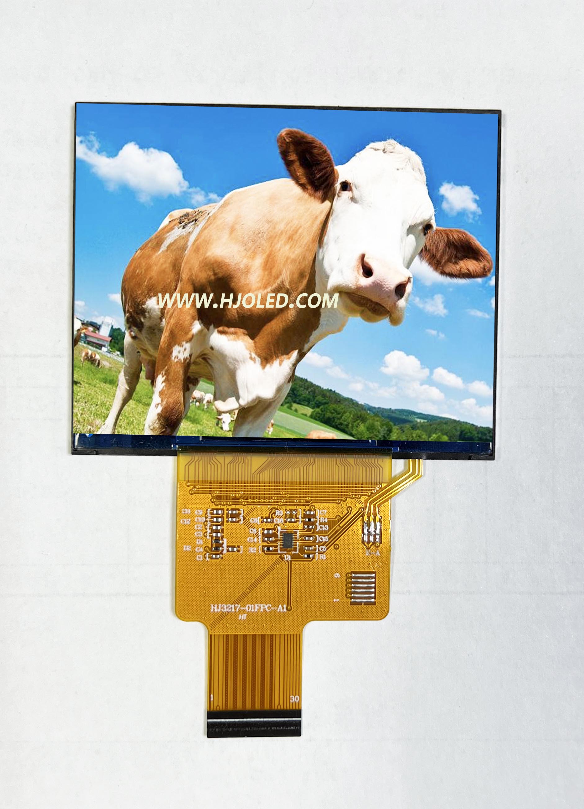 Màn hình ngang IPS 3.17 inch với độ phân giải 1024*768, hỗ trợ nhiều giao diện