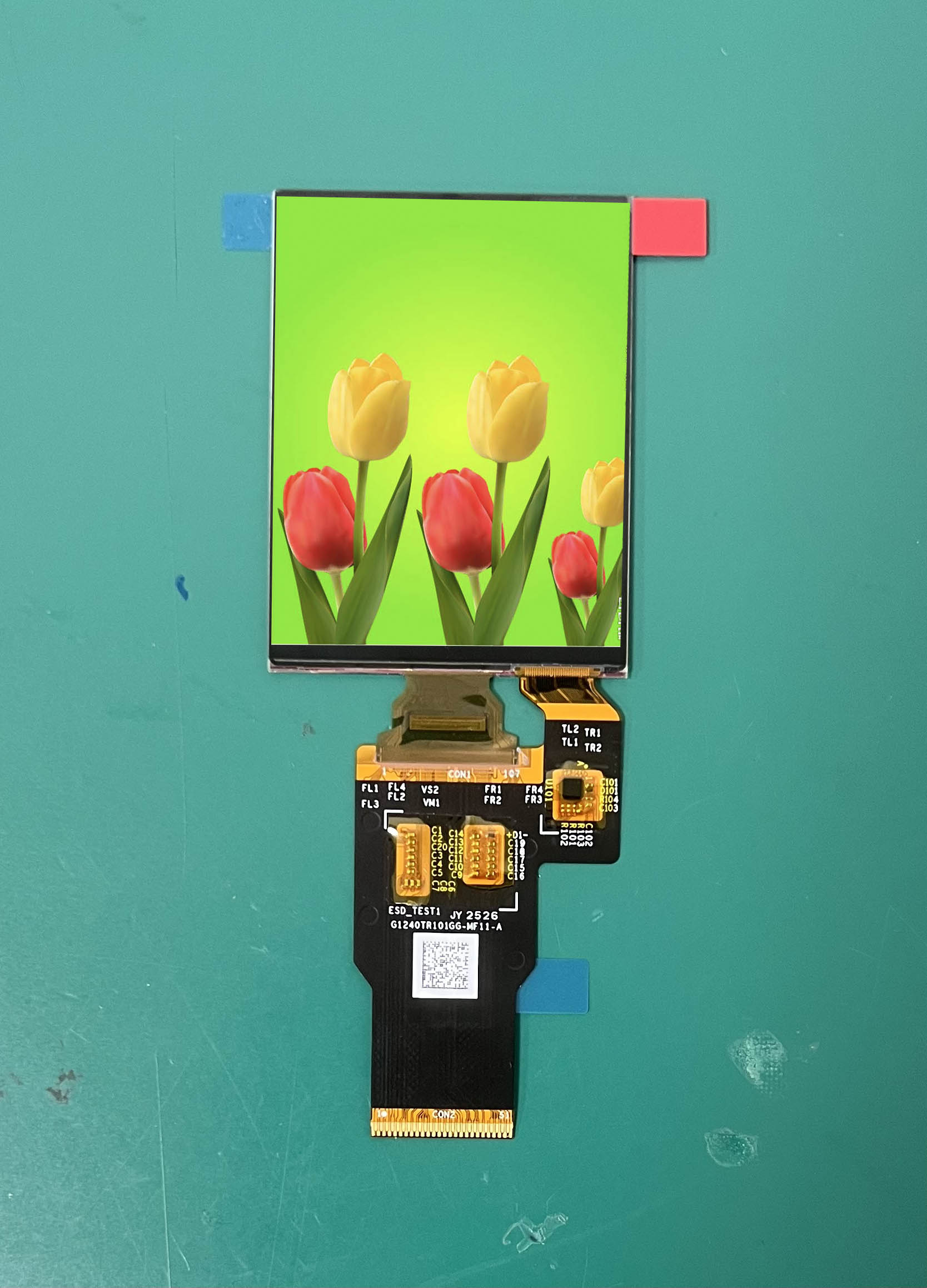 Sự khác biệt giữa màn hình AMOLED và màn hình TFT 2,4 inch về mức tiêu thụ điện năng, độ sáng và gam màu
